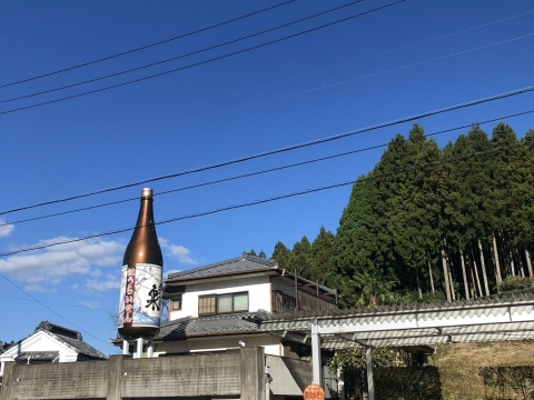 Tham quan nhà máy sản xuất rượu Sake tại Nhật 